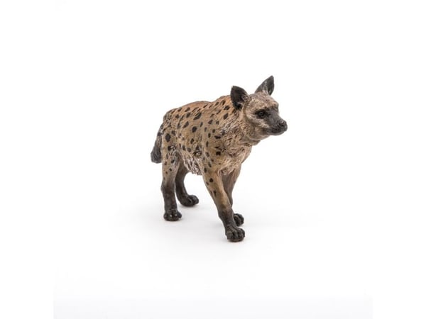 Papo 50252, 3 vuosi/vuosia, Wild animal kingdom, Monivärinen, PVC-muovi