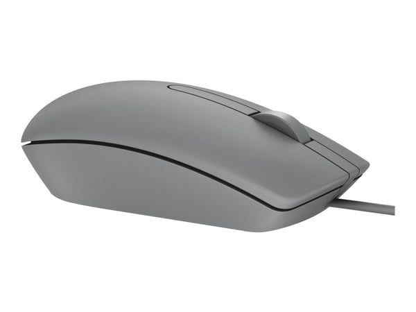DELL MS116, Molempikätinen, Optinen, USB A-tyyppi, 1000 DPI, Harmaa