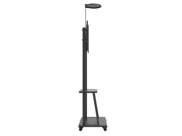 Techly ICA-TR33, 60 kg, 81,3 cm (32"), 177,8 cm (70"), 100 x 100 mm, 600 x 400 mm