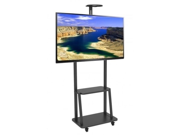 Techly ICA-TR33, 60 kg, 81,3 cm (32"), 177,8 cm (70"), 100 x 100 mm, 600 x 400 mm
