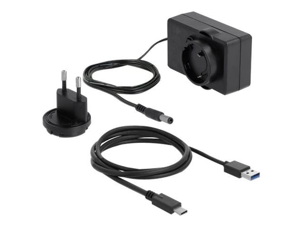 Delock External Dual Enclosure for 2 x 3.5' SATA HDD with USB Type-C - Drevkabinett - 3.5" - SATA 6Gb/s - USB 3.2 (Gen 1) - gjennomsiktig