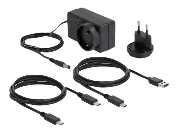Delock - HDD dockningsstation - fack: 1 - 2,5 tum/3,5 tum delad - SATA 6Gb/s - USB-C - transparent