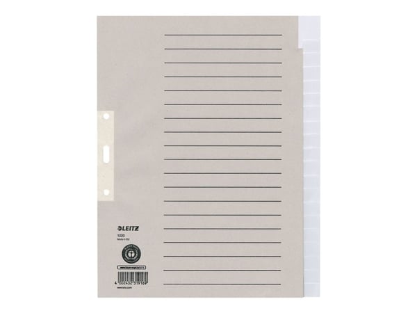 LEITZ duggpapirmapper, blanke, A4 overstørrelse, 20-delt grå, 100 g/m², perforering: 80 mm, med hullforsterkning av (1220-00-85)