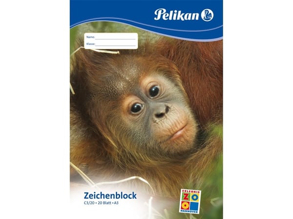 Pelikan 224840, Taidepaperialusta, 100 g/m², 20 arkkia