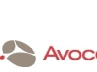 Avocent Server Interface Module - Video- / USB-utvider - for AutoView AV3108, AV3216
