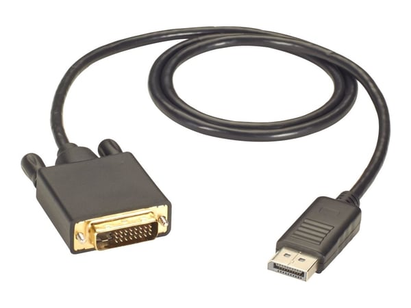 Black Box - DisplayPort-kabel - DisplayPort (hann) til DVI-D (hann) - 4.5 m - tommelskruer - svart