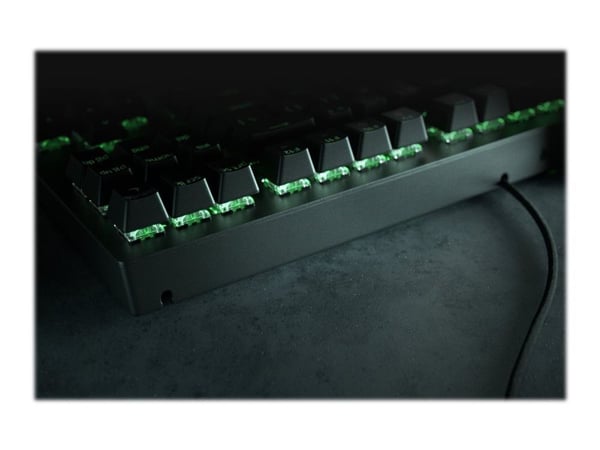 Razer BlackWidow V3 Tenkeyless - Tastatur - bakgrunnsbelyst - USB - USA - tastsvitsj: Razer Green
