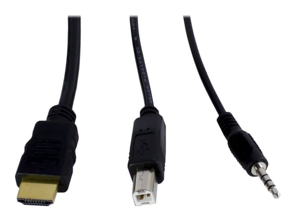 Argus KVM AS-42HA - KVM / lydsvitsj - 4 x KVM/lyd - stasjonær