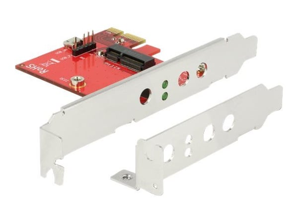 Delock - Lagringskontroller - M.2 - M.2-kort - lav profil - PCIe x1, USB 2.0