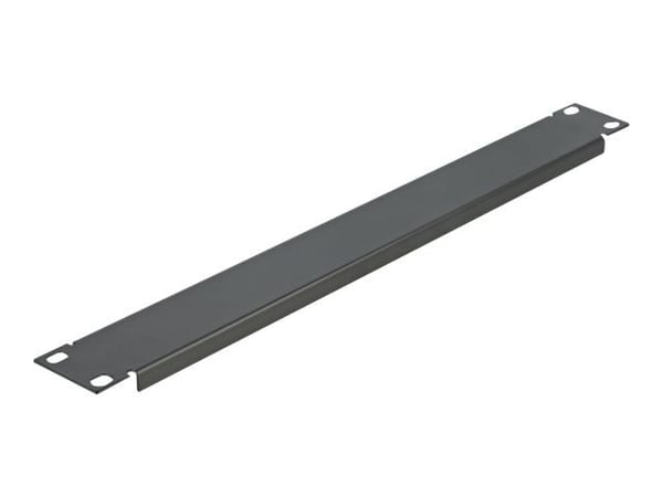 Delock - Blindpanel till rack - svart - 1U - 19"