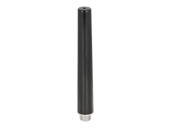 Delock - Antenni - 16,55 cm - Wi-Fi - 4 - 6 dBi - ympärisäteilevä - ulkokäyttöön - musta