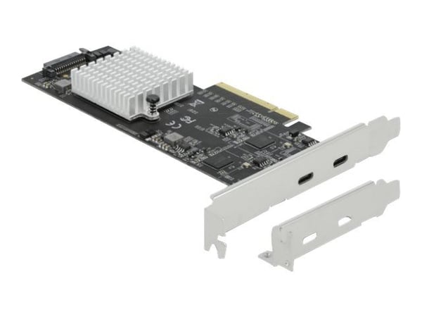 Delock - USB-adapter - PCIe 3.0 x8 lavprofil - USB-C 3.2 Gen 2x2 x 2
