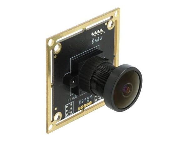 Delock USB 2.0 Camera Module with Wide Dynamic Range - Overvåkingskamera - brett - farge - 1920 x 1080 - 1080p - fastfokal - USB 2.0 - DC 5 V