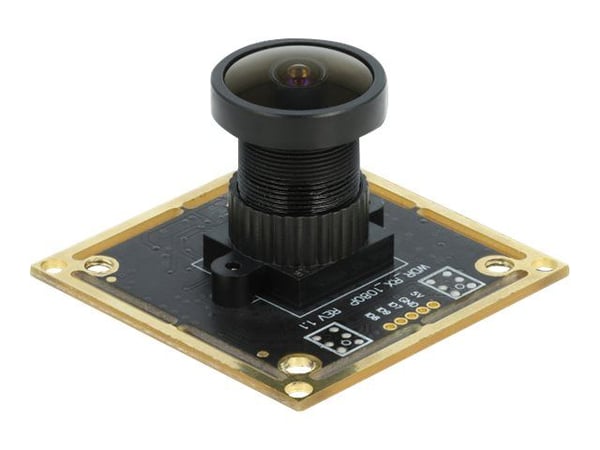 Delock USB 2.0 Camera Module with Wide Dynamic Range - Overvåkingskamera - brett - farge - 1920 x 1080 - 1080p - fastfokal - USB 2.0 - DC 5 V