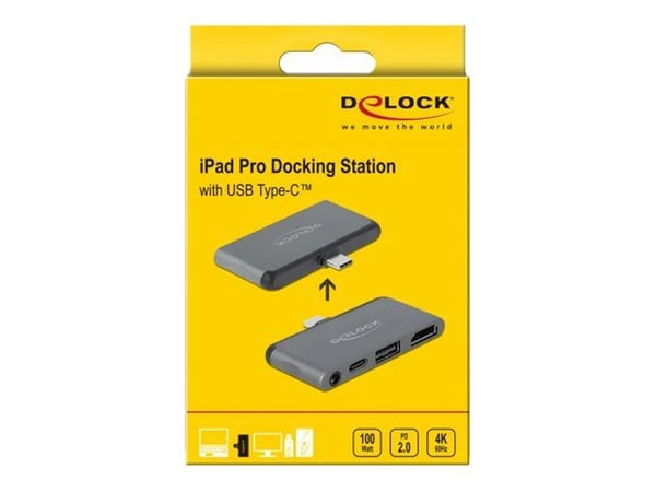 DeLOCK 87751, Apple, iPad Pro, USB Type-C, Harmaa