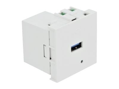 DeLOCK 81311, USB A, Kierrepuristintyyppinen liitin, Valkoinen, Muovi, Teho, 100 - 240 V