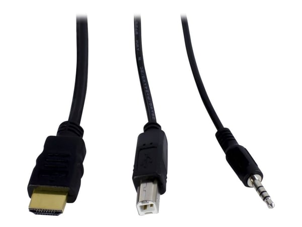 Argus KVM AS-21HA - KVM / lydsvitsj - 2 x KVM/lyd - stasjonær