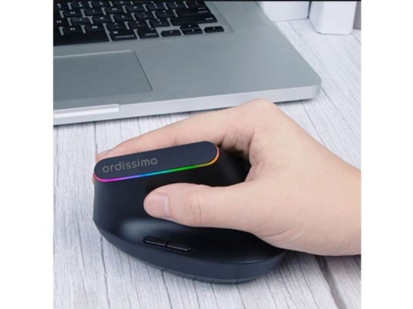 Ordissimo ergonomisk mus (ART0425)