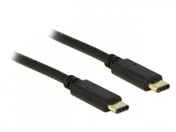 Delock - USB-kabel - USB-C (hann) til USB-C (hann) - USB 2.0 - 3 A - 2 m - svart