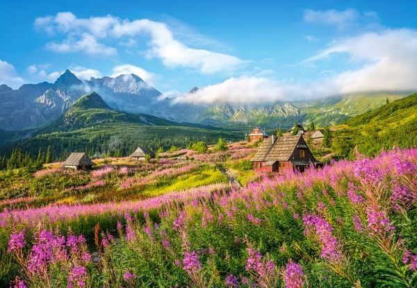 Castorland Hala Gasienicowa, Tatras, Poland 1000 pcs, 1000 stykker, Landskap, 9 år