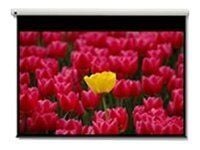 Optoma Pantalla 16:9 2656 x 1494mm, 3,05 m (120"), 16:9