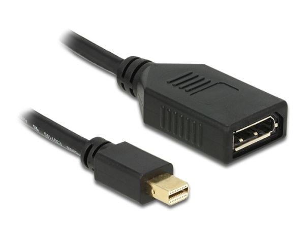 Delock - DisplayPort-adapter - DisplayPort (hunn) til Mini DisplayPort (hann) - 21 cm - svart