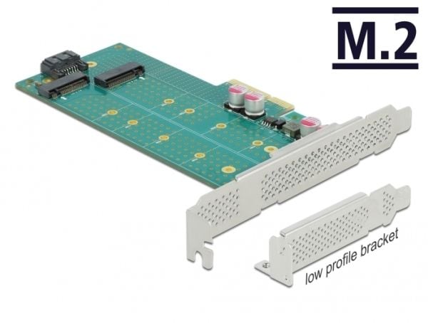 Delock - Diskkontroller - M.2 - M.2 Card / SATA 6Gb/s - lav profil - SATA 6Gb/s, PCIe 4.0 x4