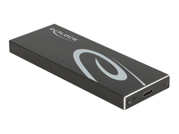 Delock - Lagringspakning - M.2 - M.2 Card / SATA 6Gb/s - USB 3.2 (Gen 2) - sort