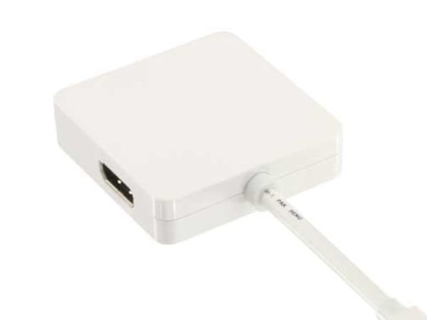 InLine 17195I, 0,15 m, Mini DisplayPort, DisplayPort + DVI + HDMI, Hankjønn, Hunkjønn, 1.1a