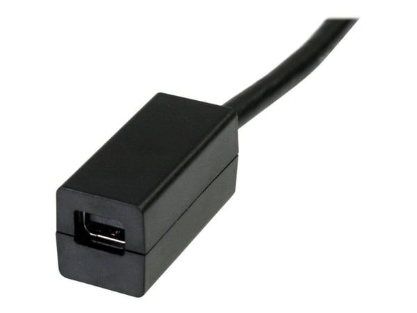 StarTech.com 6in DisplayPort to Mini DisplayPort Video Cable Adapter (DP2MDPMF6IN) - DisplayPort-sovitin - DisplayPort (han) til Mini DisplayPort (...
