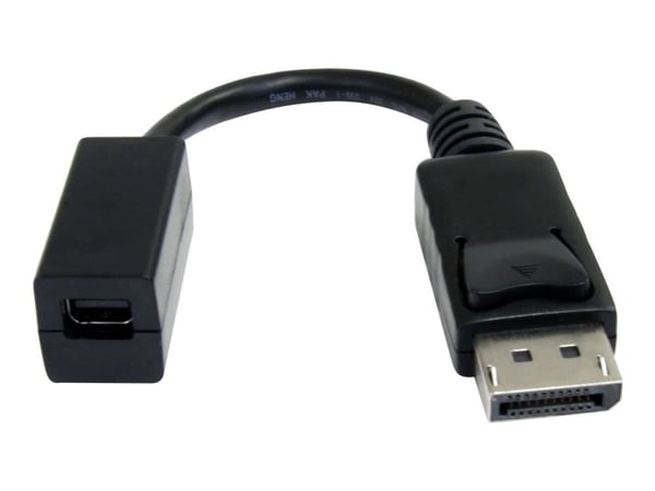 StarTech.com 6in DisplayPort to Mini DisplayPort Video Cable Adapter (DP2MDPMF6IN) - DisplayPort-sovitin - DisplayPort (han) til Mini DisplayPort (...