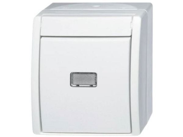 ABB 2621 W-54-206, Hallintaelementti, Valkoinen, Termoplastinen, 1P+N, IP44, 74 mm
