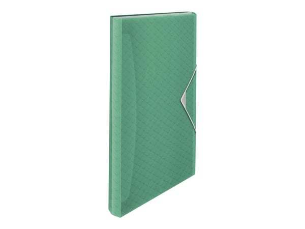 Esselte Colour'Ice - Utvidbar mappe - 6 rom - for A4 - med fliker - grønn Esselte Colour'Ice - Utvidbar mappe - 6 rom - for A4 - med fliker - grønn