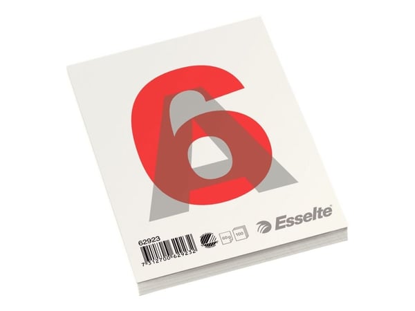 Esselte - Pad - A6 (105 x 148 mm) - 100 ark / 200 sider - vanlig