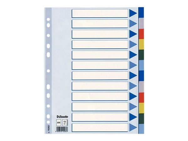 Esselte - Inndeler - 12 deler - for A4 (210 x 297 mm) - med fliker - multifarge