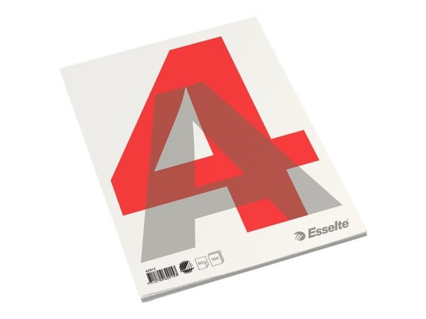 Esselte - Pad - A4 (210 x 297 mm) - 100 ark / 200 sider - vanlig - innbundet
