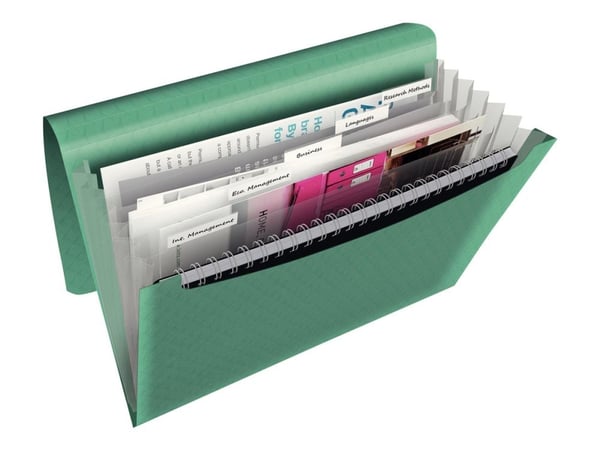 Esselte Colour'Ice - Utvidbar mappe - 6 rom - for A4 - med fliker - grønn