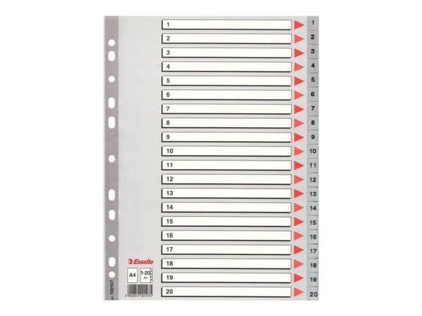 Esselte PP A4 rekisteri 1-20 harmaa - (10 sarjaa)