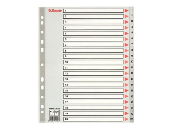 Esselte 100126, Numeroitu välilehtihakemisto, Polypropeeni (PP), Harmaa, A4+, 245 mm, 3 mm