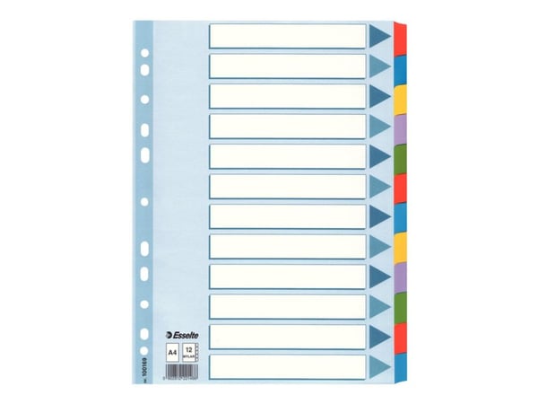 Esselte - Inndeler - 12 deler - for A4 (210 x 297 mm) - med fliker - hvit