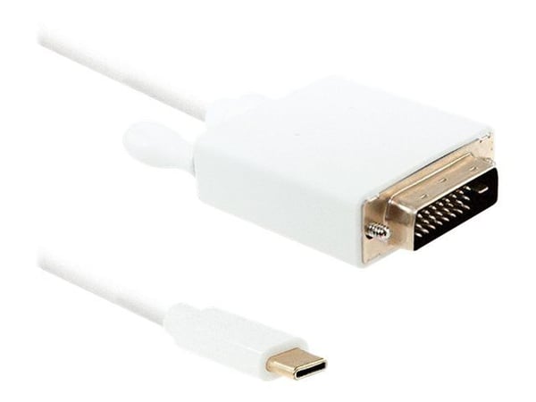 Qoltec - Adapterkabel - USB-C hane till DVI-D hane - 2 m - stöd för 4K