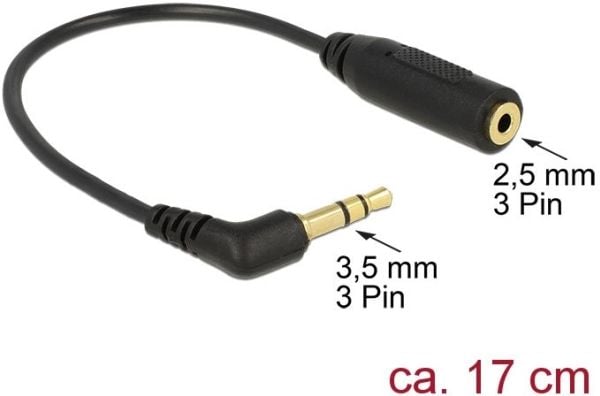 DeLOCK 0.17m 2.5mm/3.5mm, 3.5mm, Uros, 2.5mm, Naaras, 0,17 m, Musta