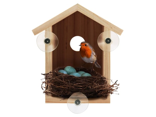 Bird Explore - Window-mounted Birdhouse