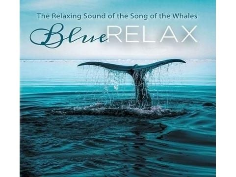 Soliton Blue Relax s- Song og the Whales cz.4 | Soliton Blue Relax s- Song og the Whales cz.4 |