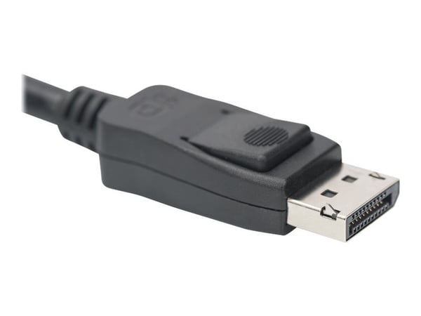 DIGITUS - DisplayPort-kabel - DisplayPort (hann) til DisplayPort (hann) - DisplayPort 1.4 - 5 m - 8K-støtte - svart