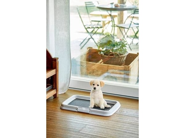 ZOLUX hunde- og kattetoilet Hund Åben kuldkasse Sort, Grå