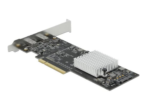 Delock - USB-adapter - PCIe 2.0 x8 lavprofil - USB-C 3.2 Gen 2x2 x 2