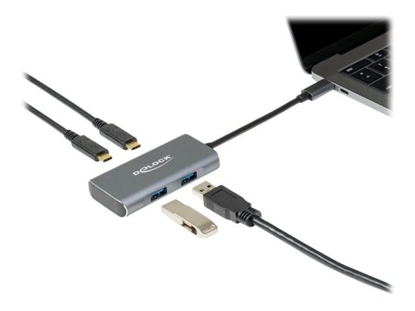 Delock - Hub - 2 x USB 3.2 Gen 2 + 2 x USB-C 3.2 Gen 2 - stasjonær