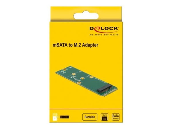 DeLOCK - Liitäntäsovitin - M.2 - M.2-kortti - mSATA (64109)