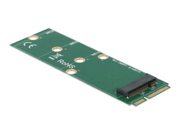 Delock - Grensesnittsadapter - M.2 - M.2 Card - mSATA